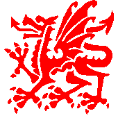 Ddraig Goch - Red Dragon